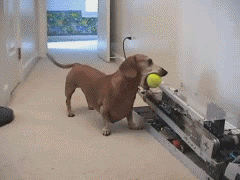 Гифки разные