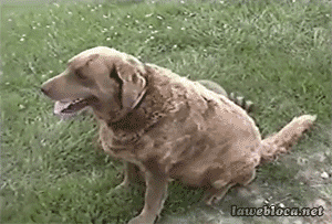 Гифки разные