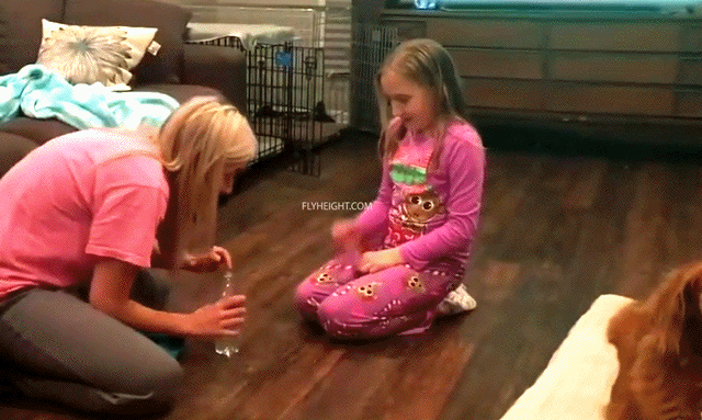 Гифки Гифки