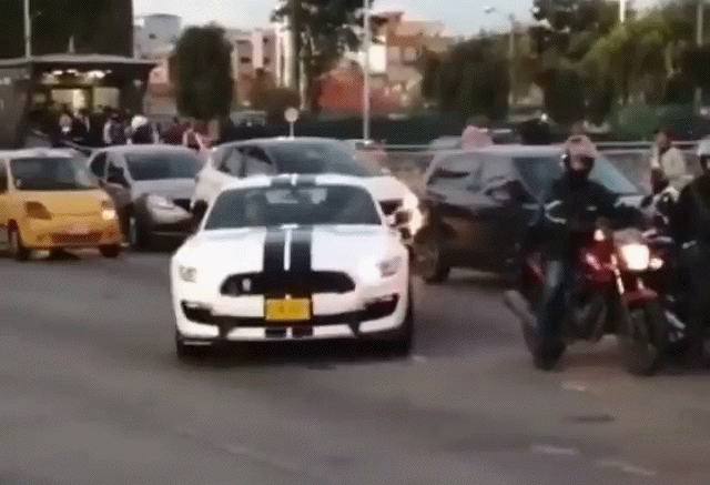 Гифки Гифки