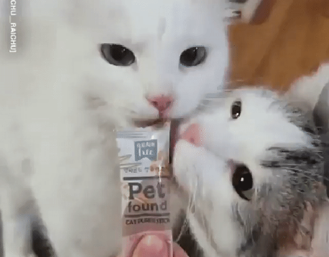 Гифки Гифки