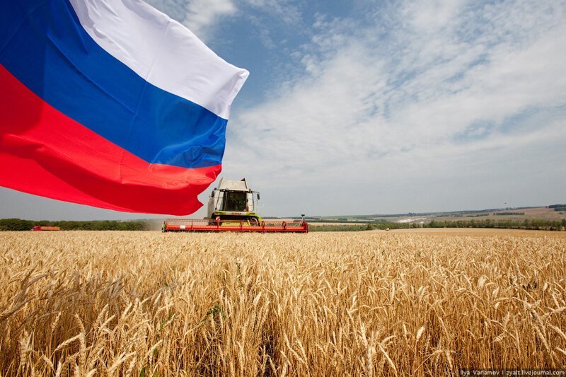 Россия стала мировым лидером в сфере АПК