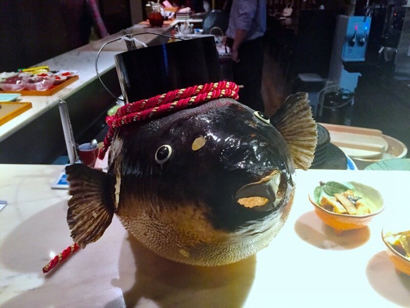 Хозяйке на заметку . Рыба фугу: великая и ужасная