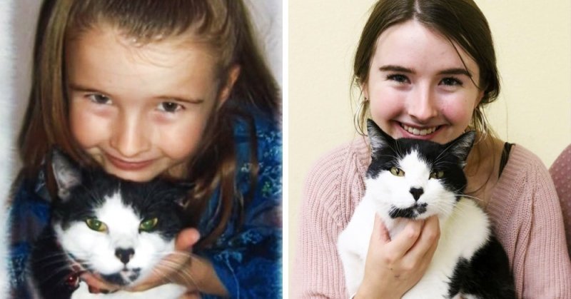 Девушка нашла потерянного кота во время волонтерства в приюте для животных