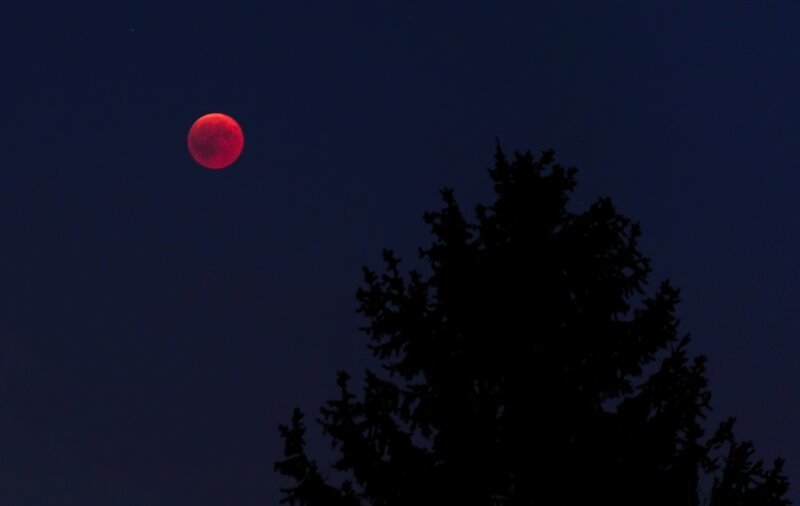 В ночь на субботу жители земли увидят первое лунное затмение 2020
