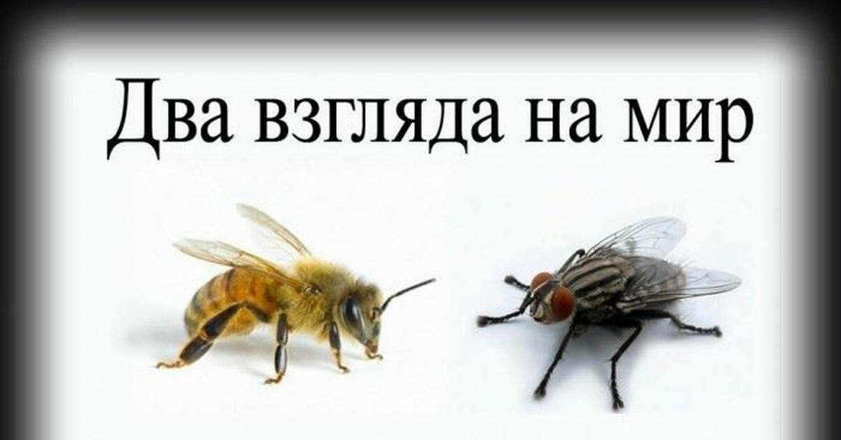 Два взгляда на мир картинка