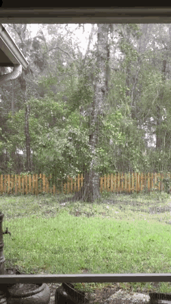 Гифки Гифки