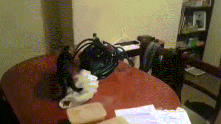 Гифки разные Гифки разные