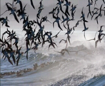 Гифки разные Гифки разные