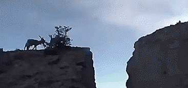 Гифки разные Гифки разные