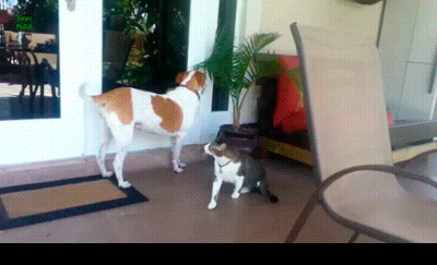 Гифки разные Гифки разные