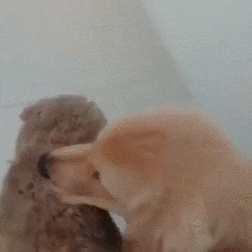 Приятное пробуждение