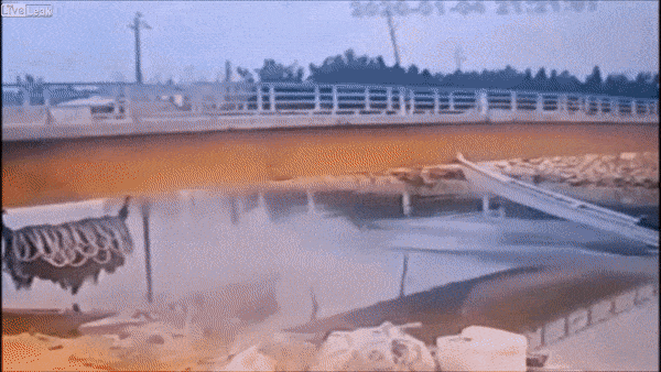 Гифки дня Гифки дня