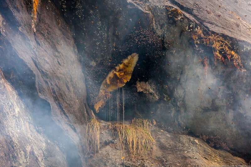 Неизвестные Гималаи. В поисках охотников за медом диких пчёл. Правильная деревня (день 1)