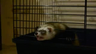 Гифки разные