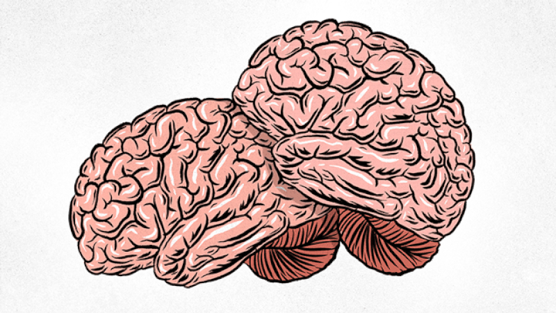 Как секс влияет на мозг: 7 важных вещей, которые происходят с мозгом при сексе