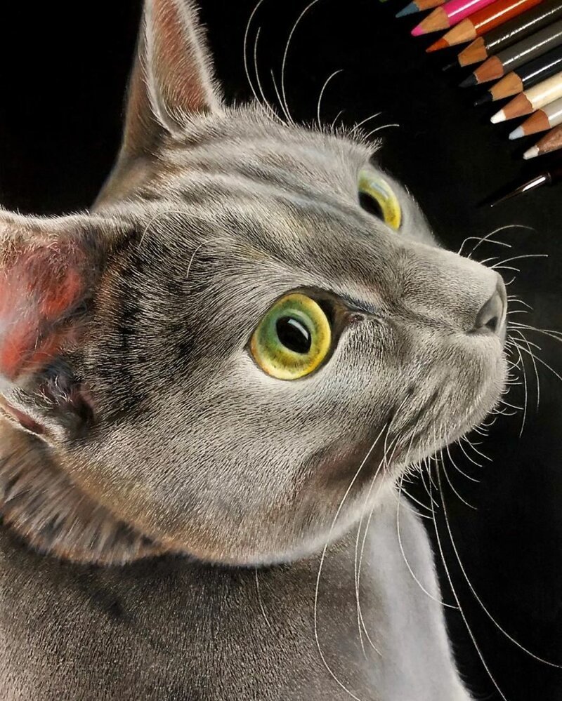 Кошки в жанре гиперреализма: невозможно поверить, что это не фото!