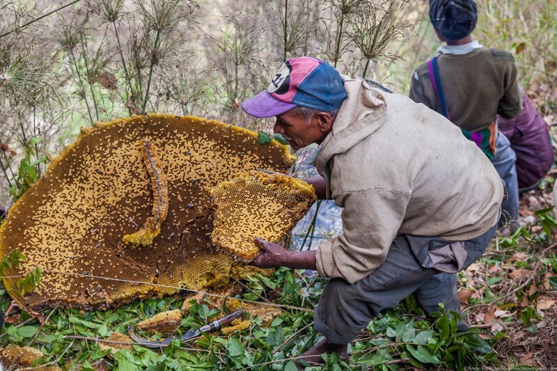 Неизвестные Гималаи. В поисках охотников за медом диких пчёл. Правильная деревня (день 2)
