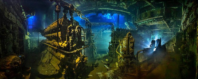 Выбраны лучшие подводные фото года