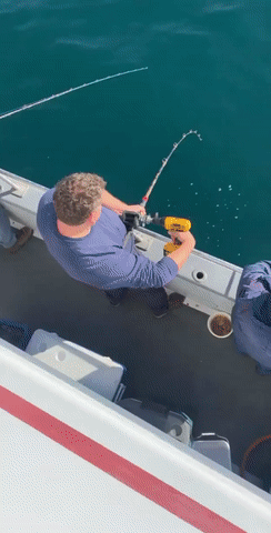 Лень не мешает рыбной ловли