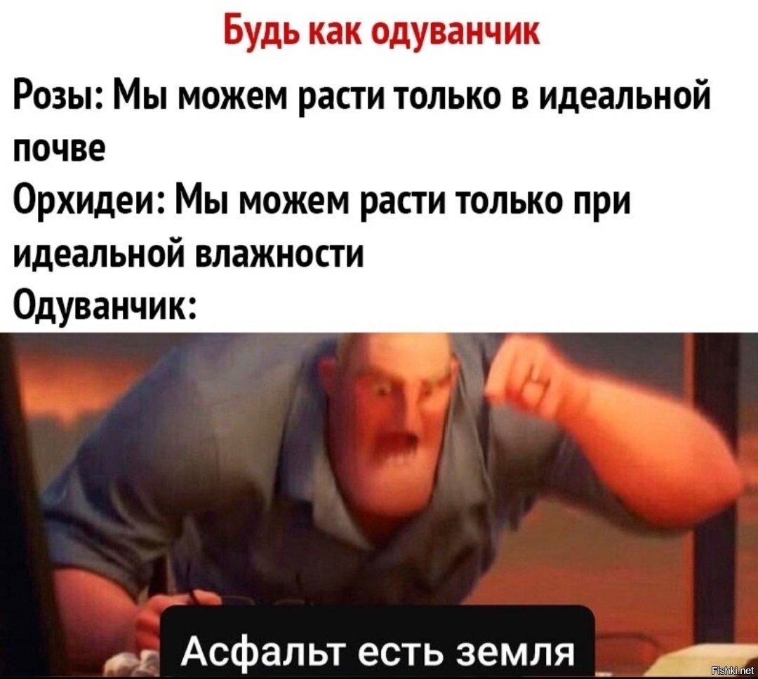 Мем много текста