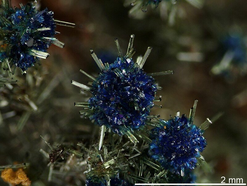 Оливин образует зеленые кристаллы, на которых расположен синий клиноклаз.