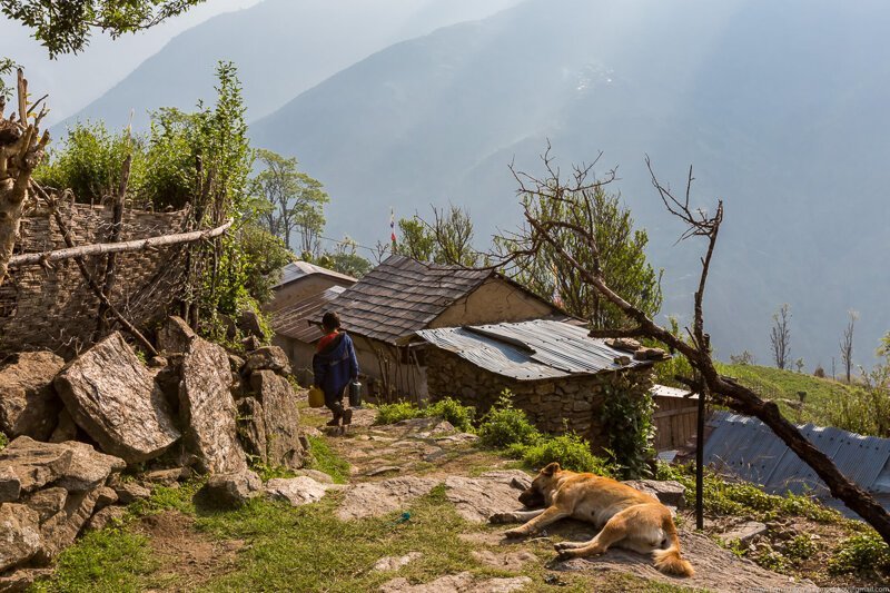 Неизвестные Гималаи. В поисках охотников за медом диких пчёл. Правильная деревня (день 3)
