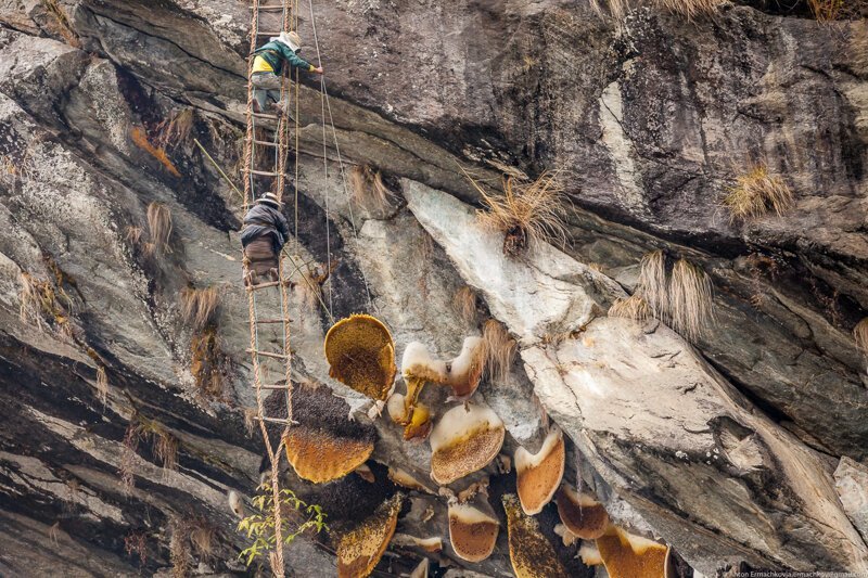 Неизвестные Гималаи. В поисках охотников за медом диких пчёл. Правильная деревня (день 3)
