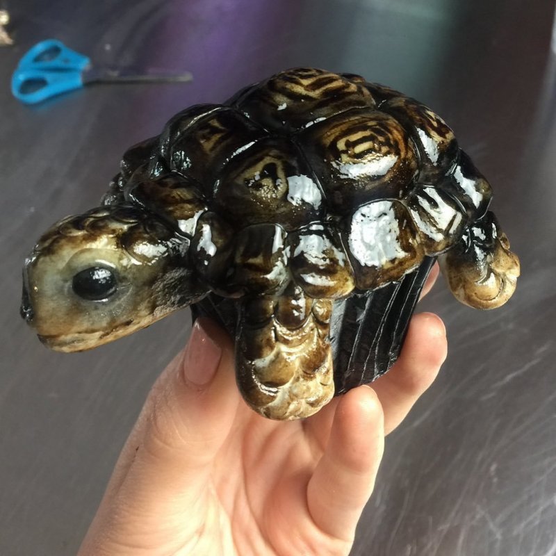 Невероятные 3D-торты в виде животных