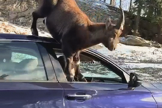 Подборка автомобильных гифок Подборка автомобильных гифок