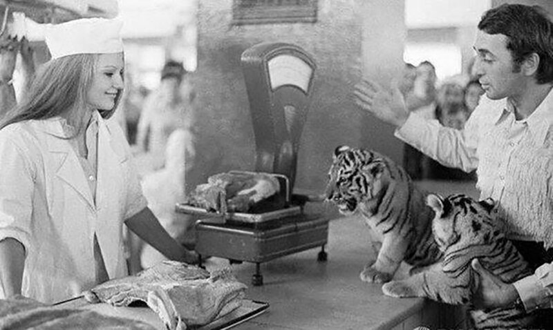 Когда тиграм в цирке не докладывают мяса. 