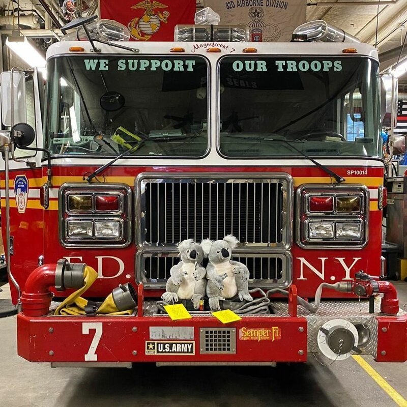 Пожарный департамент Нью-Йорка