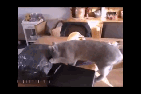 Гифки разные Гифки разные