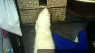 Гифки разные Гифки разные