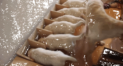 Гифки разные Гифки разные