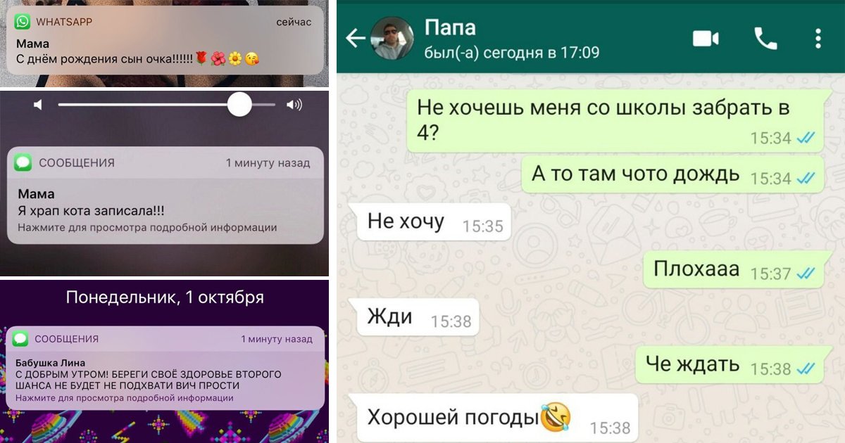 Ватсап переписка картинка