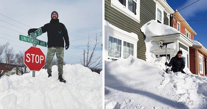  «Снегомагедон»: В Канаде выпало рекордное количество снега