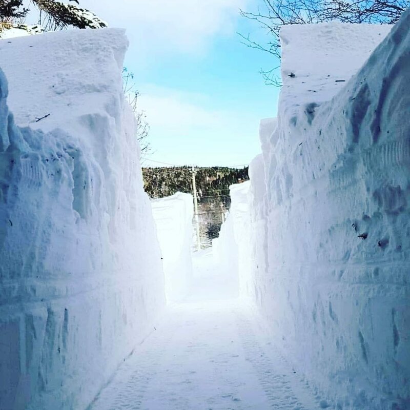 В некоторых местах после уборки снега получаются целые тоннели