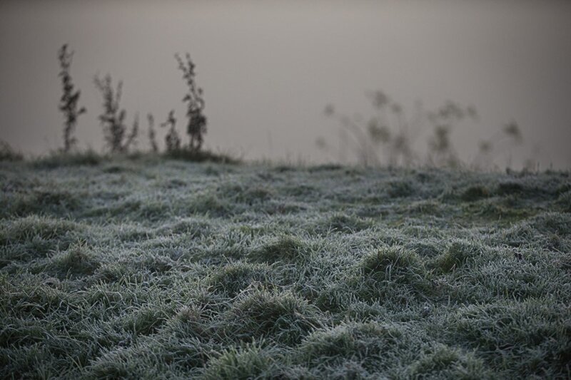 Красивые фотографии заморозков и туманов в Великобритании