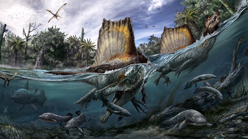 Климат во времена динозавров и чуть позже
