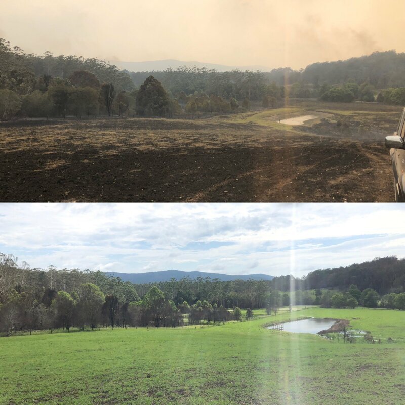 "Вот моя ферма 10 недель назад, после того, как по ней прошлись пожары, и этим утром, после сильных ливней," - написал актер, опубликовав фото своей фермы "до и после" в Твиттере