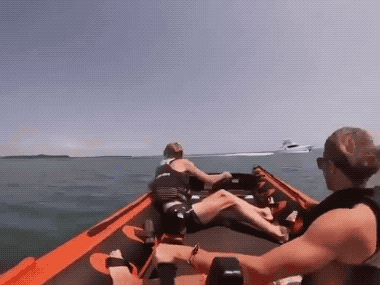 Гифки Гифки