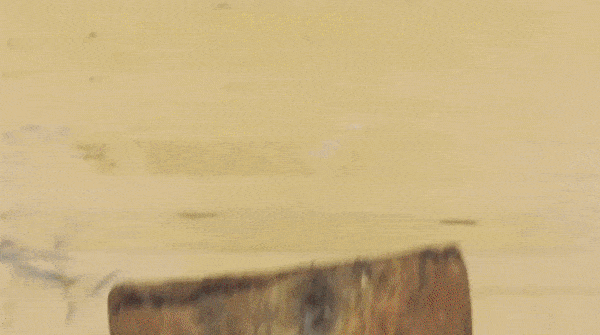 Гифки Гифки