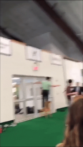 Гифки Гифки