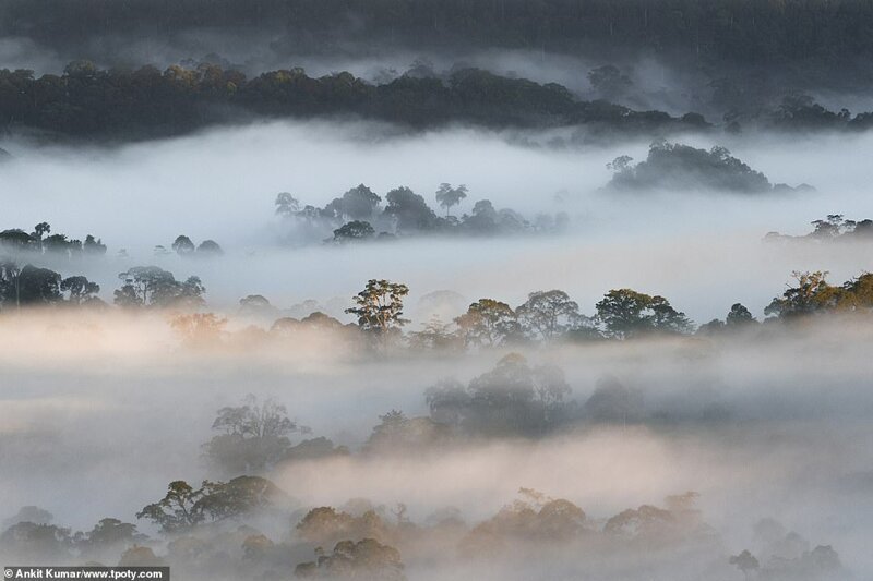 Облака в долине Данум, остров Борнео, Малайзия. Фото: Анкит Кумар, Индия. Награда в категории "Молодой туристический фотограф", возраст 15-18 лет