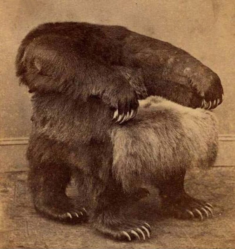 Президентское кресло Джонсона из медведя гризли, музей Белого дома, 1865 год