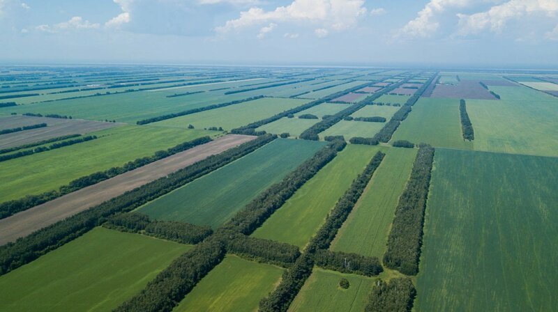 Государственная защитная лесополоса протяжённостью более 700 километров