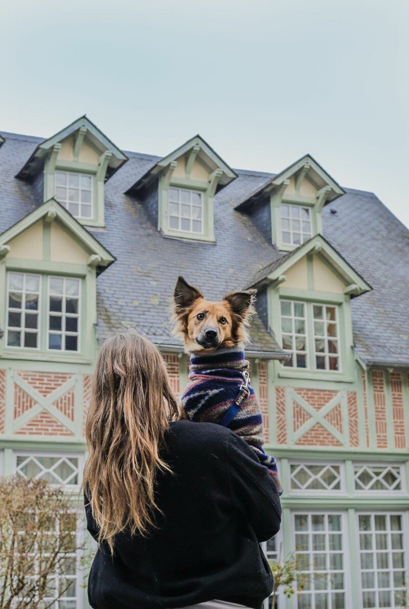 Хозяйка нашла способ научить приютскую собаку гулять