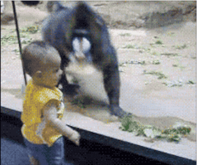 Гифки Гифки