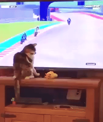 Гифки Гифки